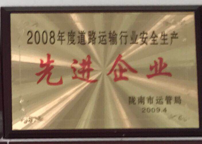 2008年度道路運輸安全生產先進企業(yè)